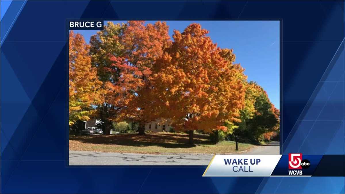Wake up call Fall foliage