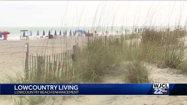 Hilton Head Island leaders working to keep beaches clean and improve accessibility - Vimarsana News