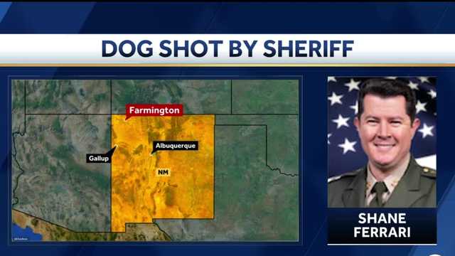 Off-duty sheriff fatally shoots dog in Farmington - Vimarsana News
