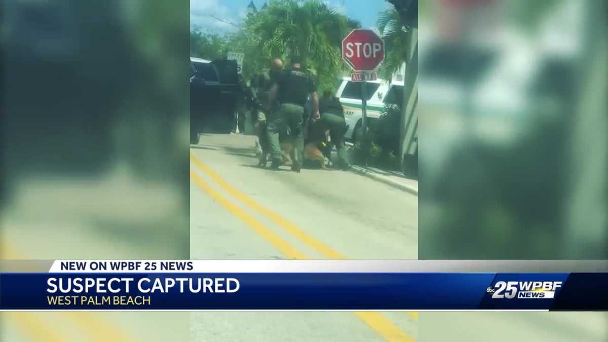 Police Dogs Nab Shooting Suspect In West Palm Beach