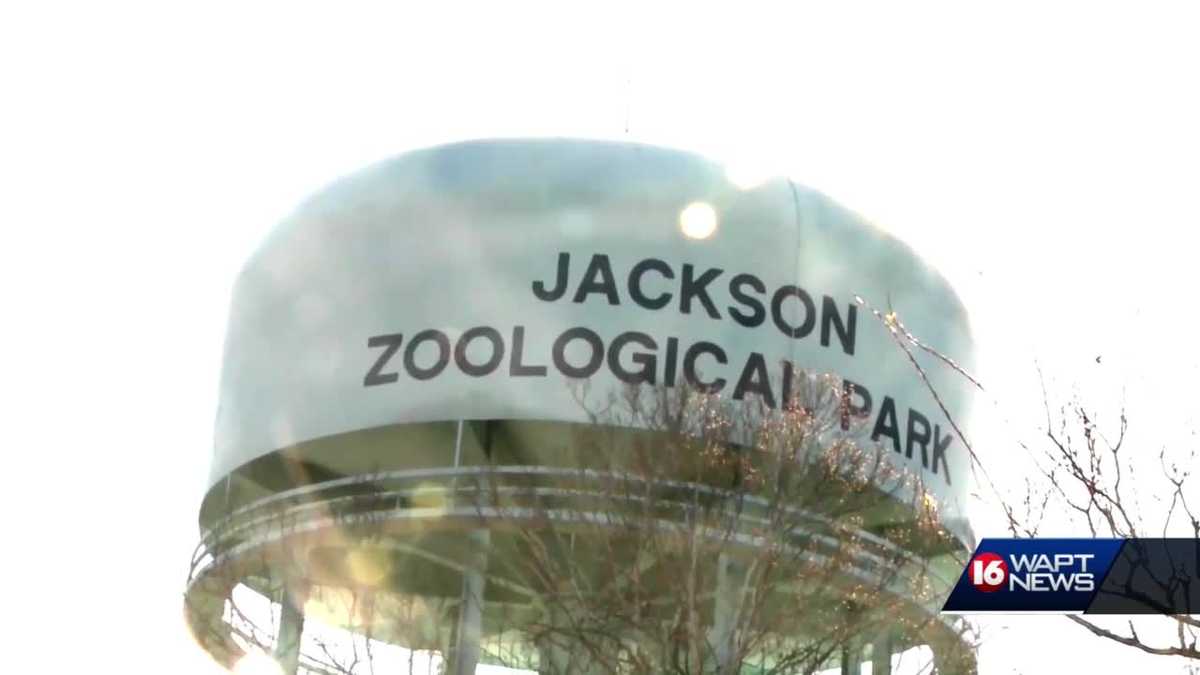 Jackson Zoo changes moving forward