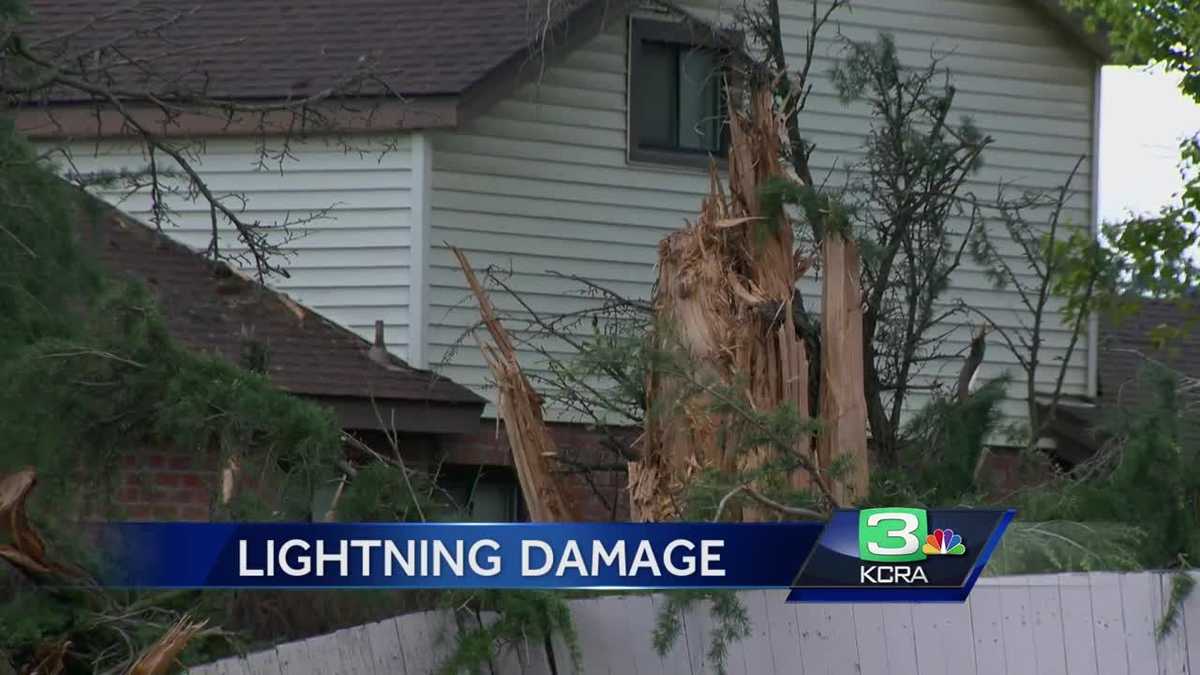 Lightning Strike Destroys Oakdale Tree