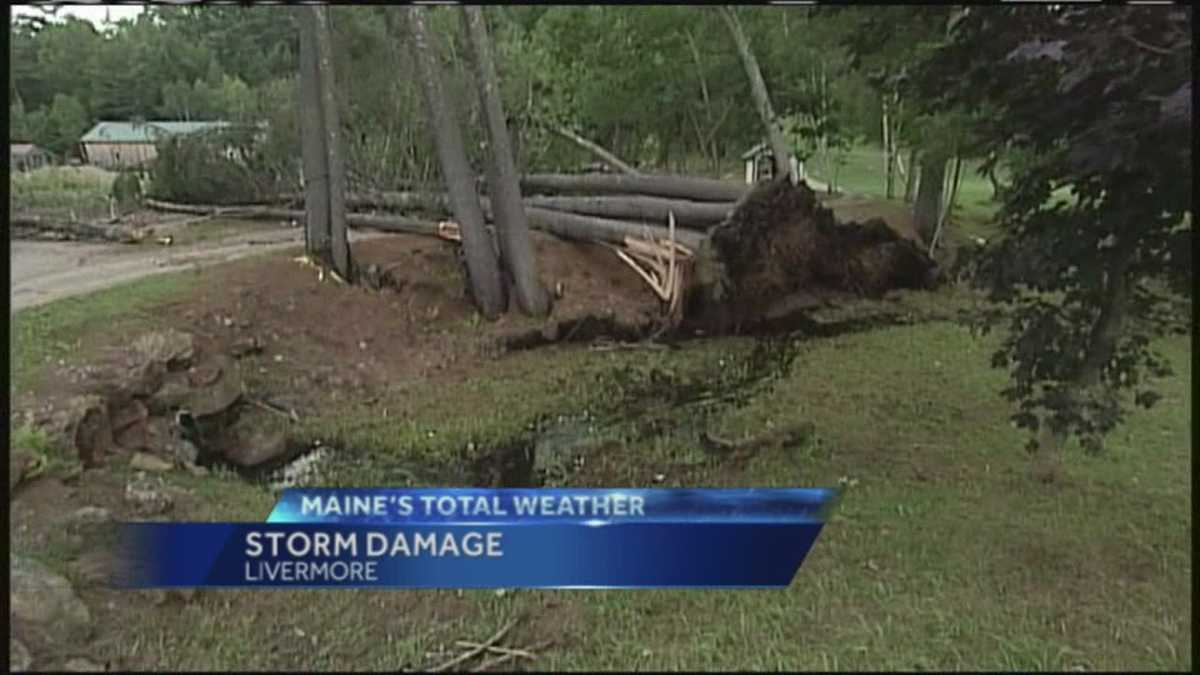 Storm uproots trees in Livermore