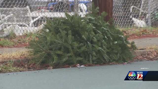 How and where to safely dispose of your Christmas tree after the holiday season - Vimarsana News