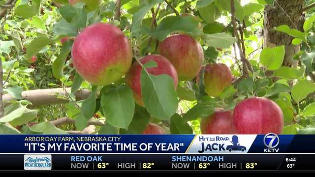 Hit the Road, Jack: Arbor Day Farm Part 2