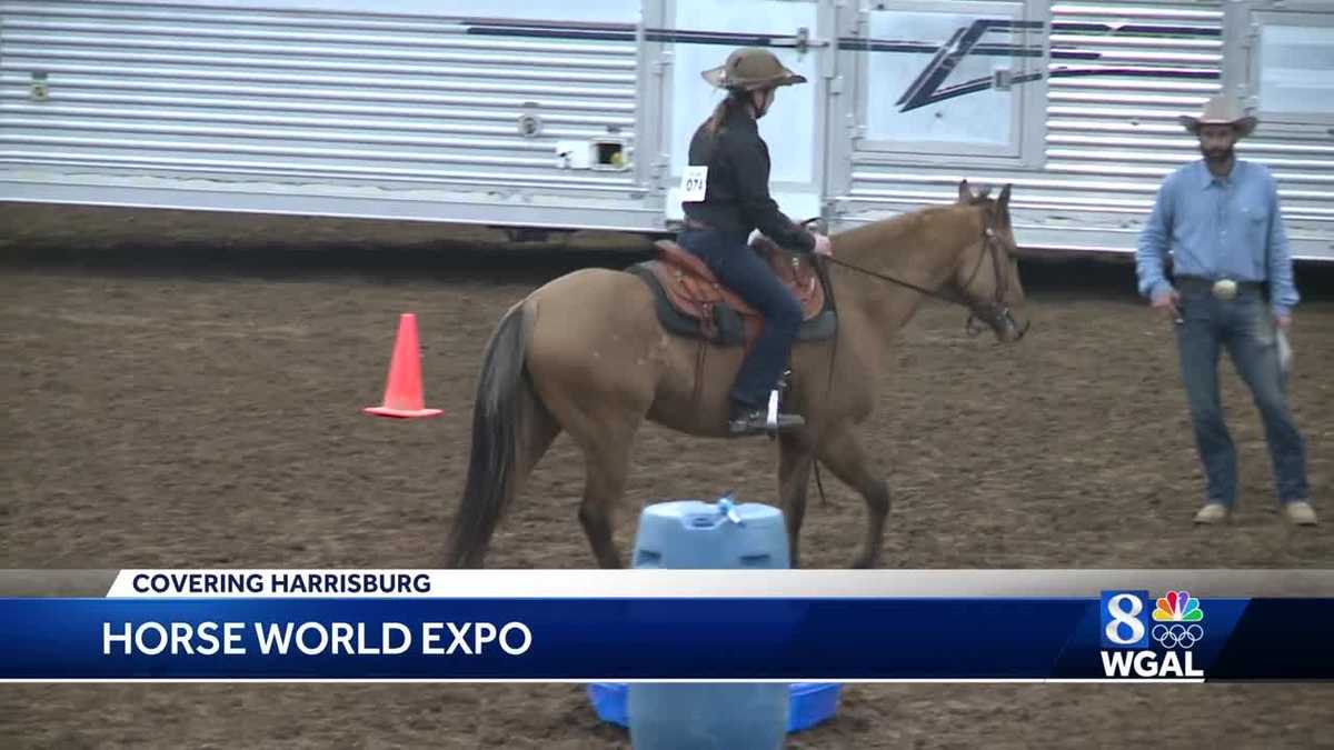 'Horse World Expo' continues in Harrisburg