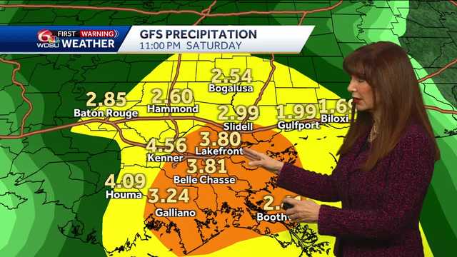 Increasing rain, storms and wind Saturday - Vimarsana News