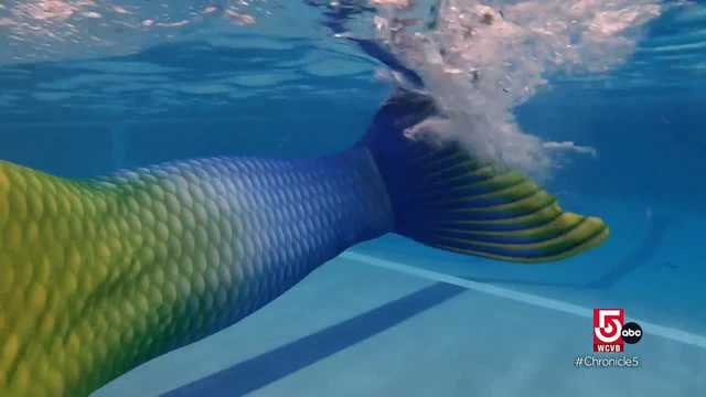 Nicole's Favorites: Under the sea - Vimarsana News