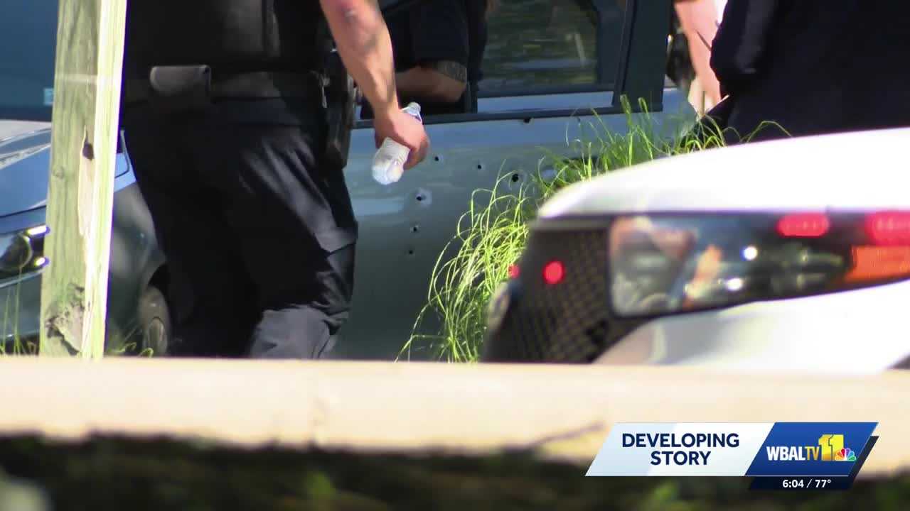 Towson University mourns student killed on York Road