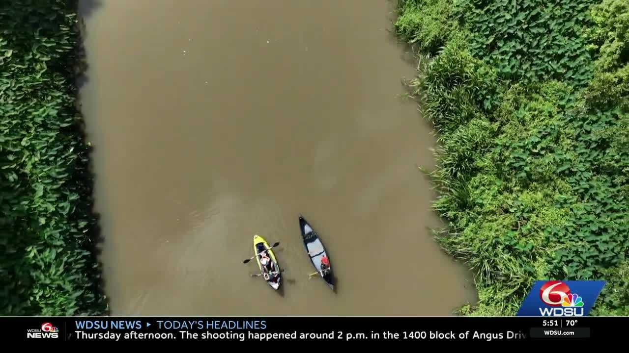Road Patrol: Spend a full day down Bayou Lafourche