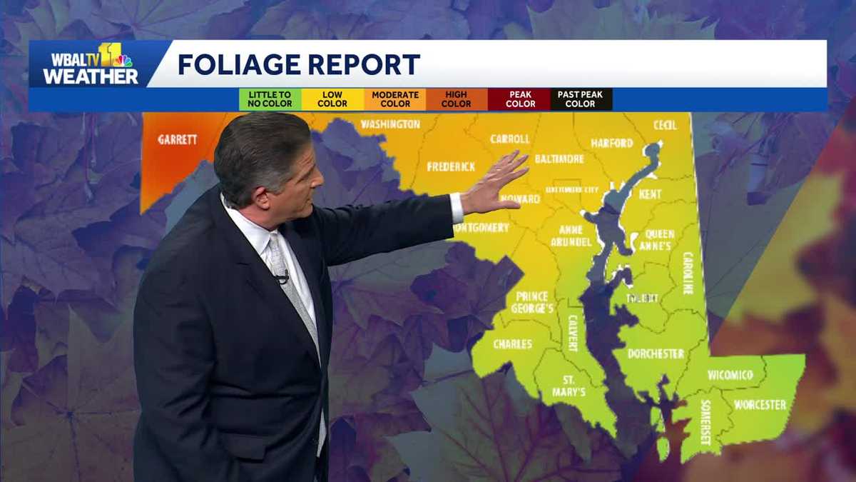 WBAL-TV 11 News at 7pm