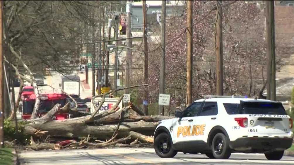 Oakmont Tree down on Hulton Road