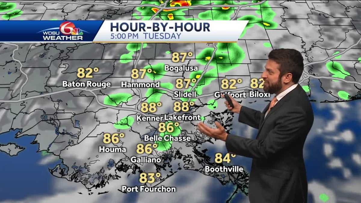 Hot and humid with scattered showers