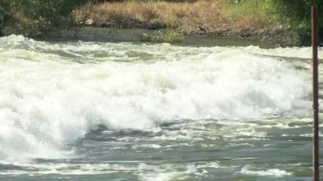 Bodies of 4-year-old, 8-year-old now recovered after falling into California river - Vimarsana News