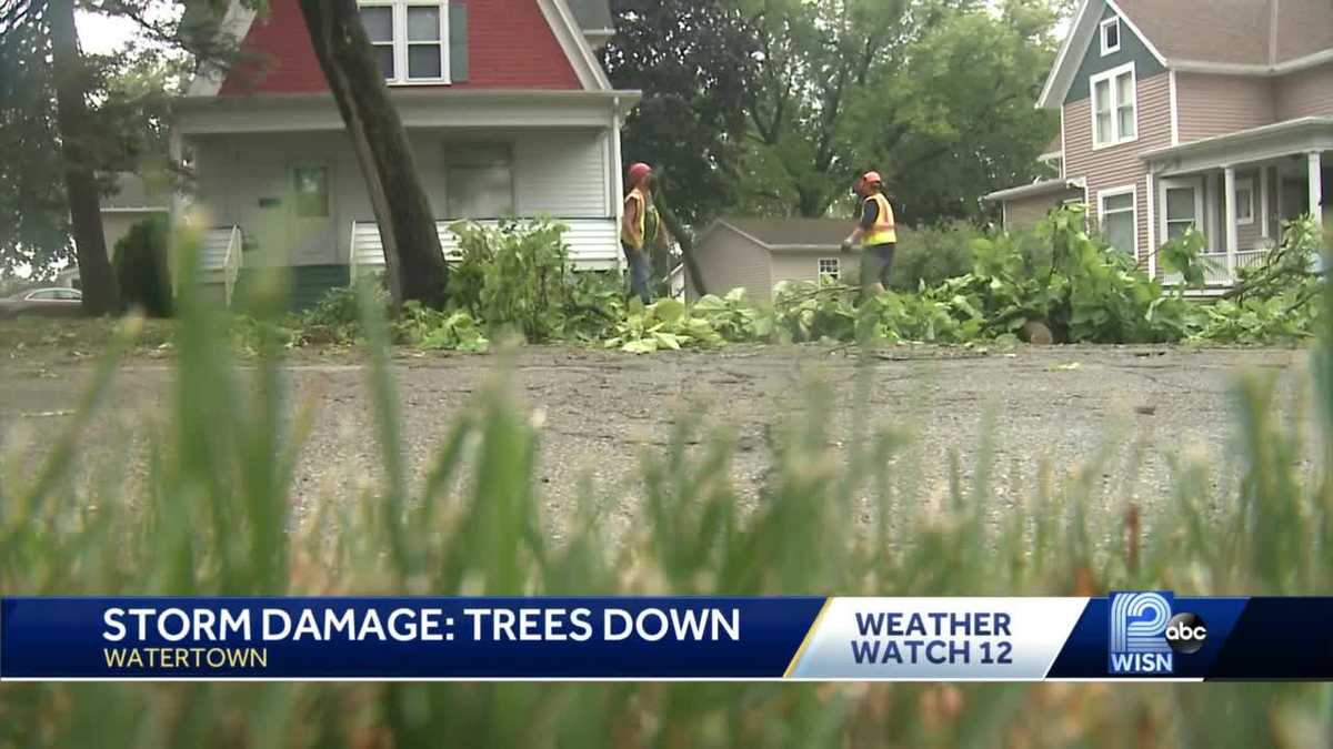 Storms, winds damage trees in Watertown