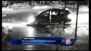 Woman pleads guilty to abandoning dog in Lewiston