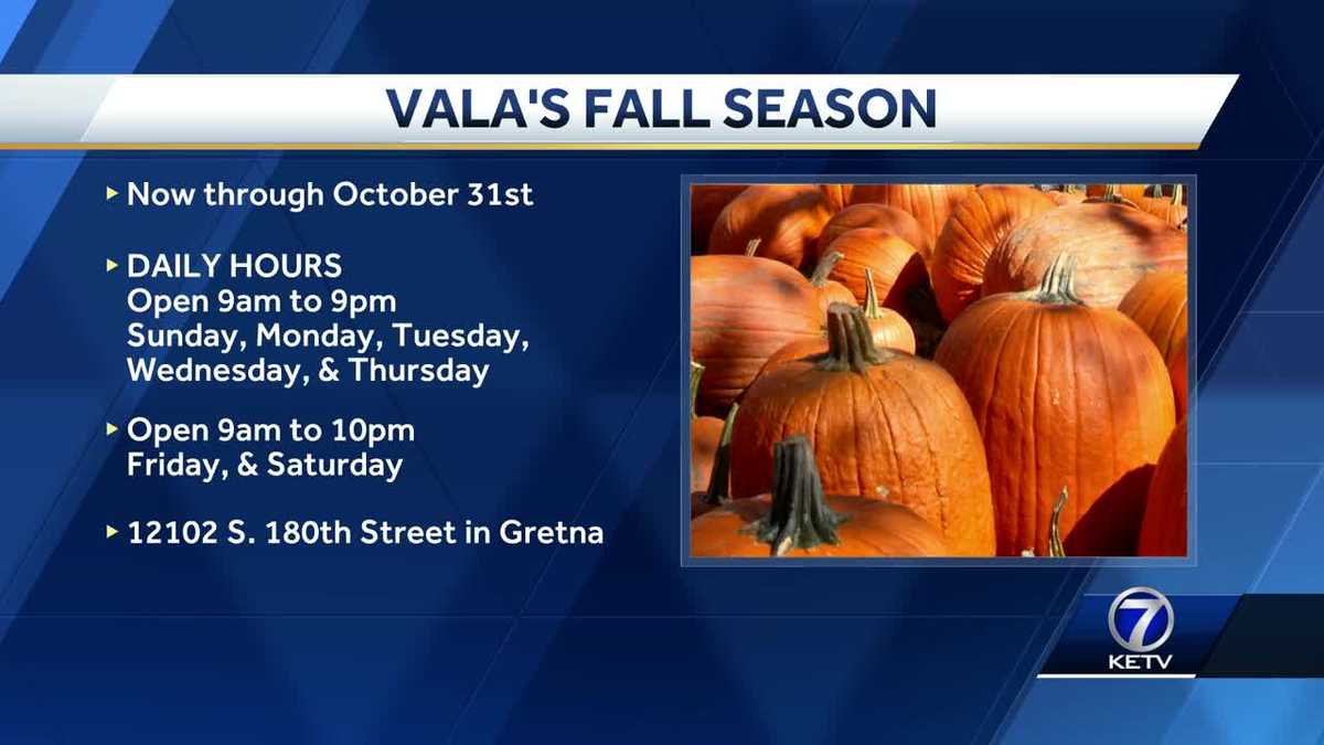 Vala's Pumpkin Patch is open for business