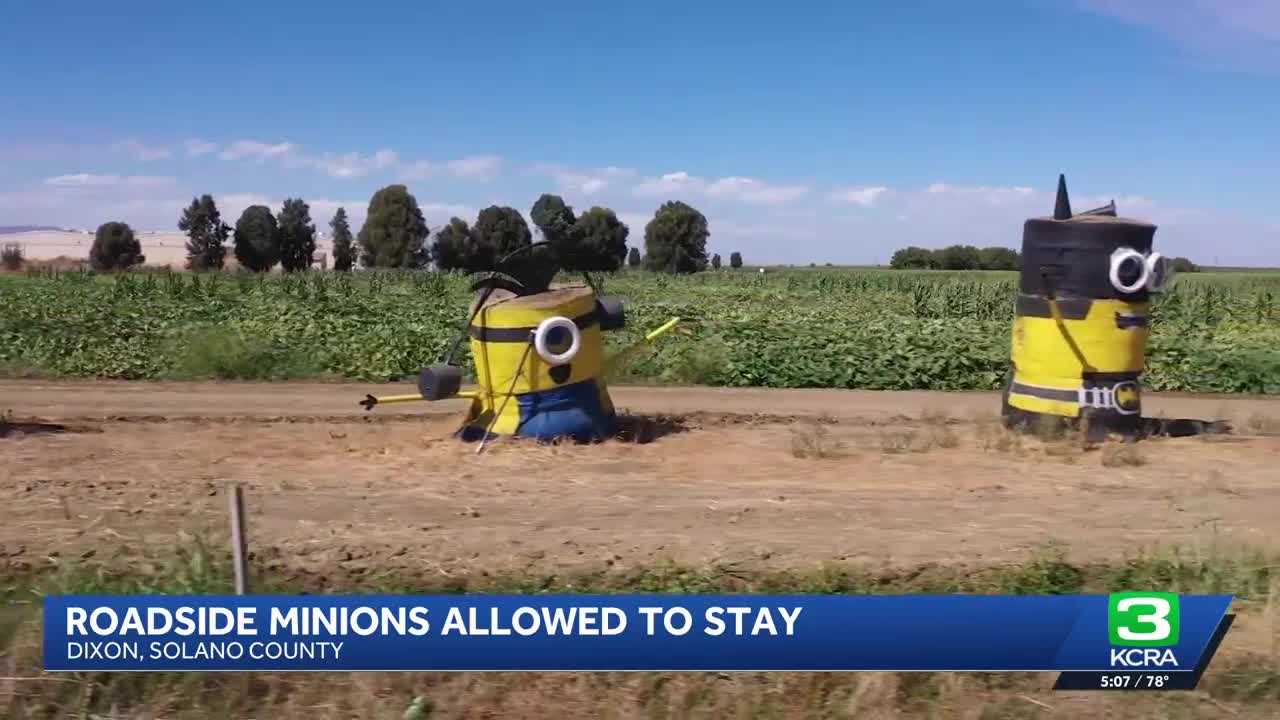 ‘They help let you know you’re home’: Hay bale Minions to remain along I-80 in Dixon
