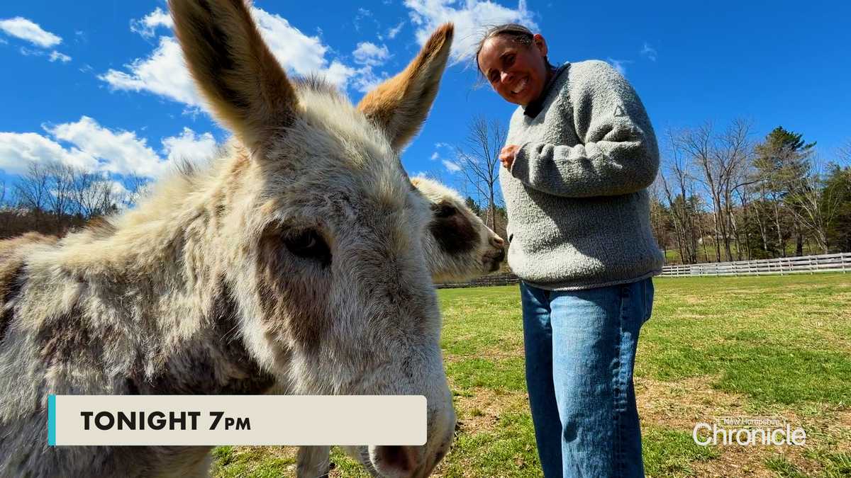 Tonight on New Hampshire Chronicle: Tomten Farm Sanctuary and Firehouse Chef