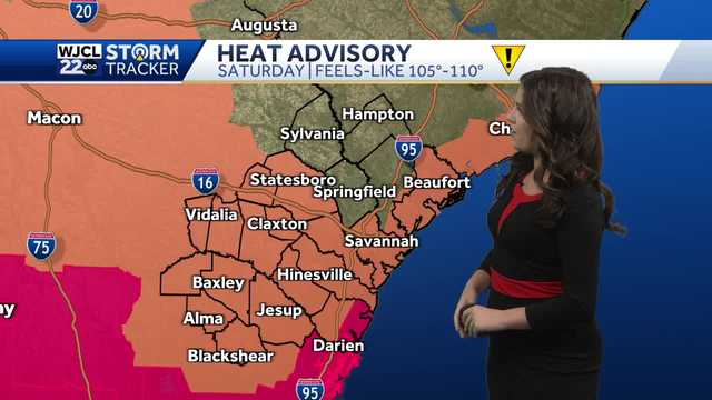 Dangerous heat impacting SE Georgia and the Lowcountry this weekend - Vimarsana News