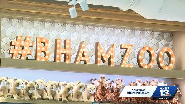 Birmingham Zoo to open axolotl exhibit, exciting visitors