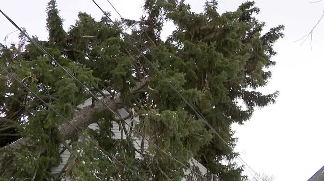 Trees fall on homes in Milwaukee area during wind and snowstorm