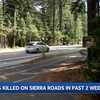 Six bear cubs killed on Tahoe roads in two weeks, Bear League says