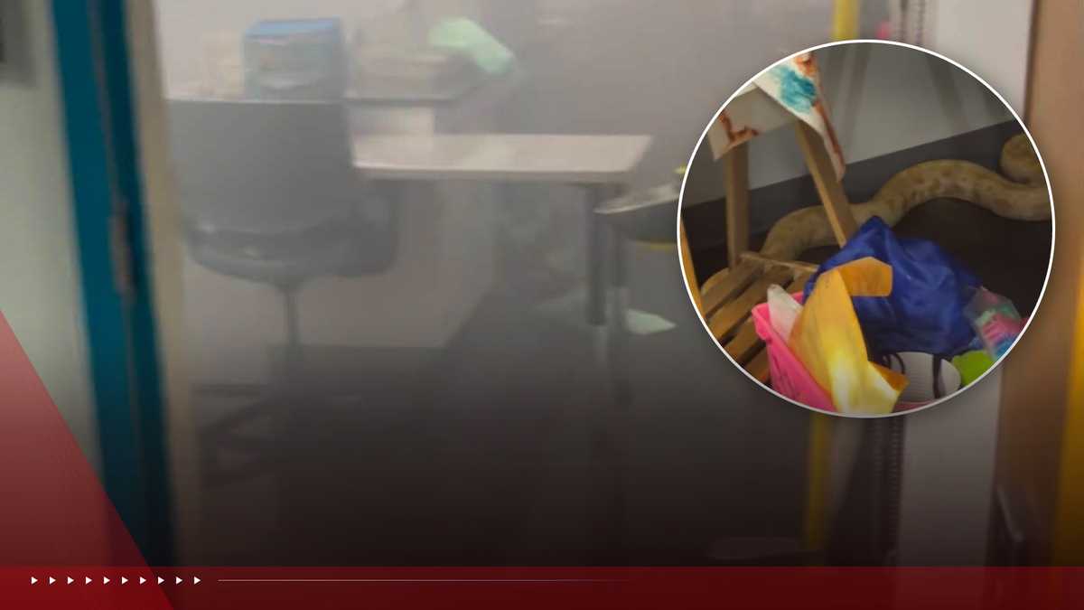 Snake reportedly starts fire at Virginia middle school: How it happened