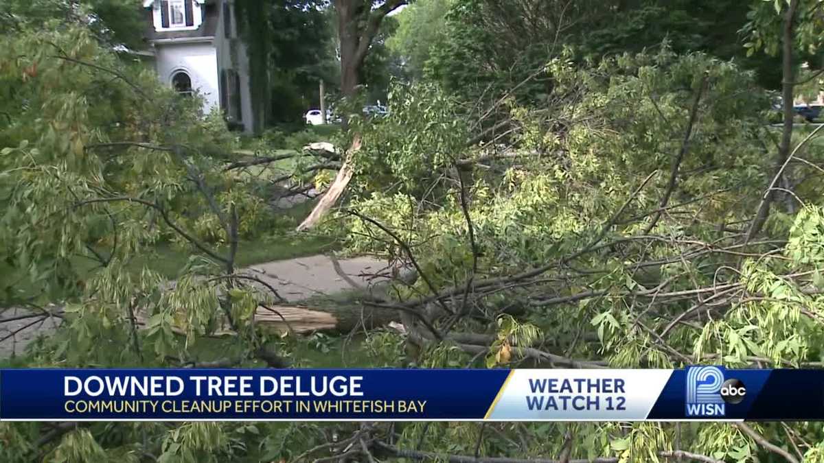 Downed tree cleanup continues in southeast Wisconsin