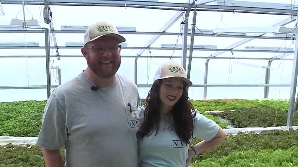 Family plans to farm 25 tons of salmon each year - Vimarsana News