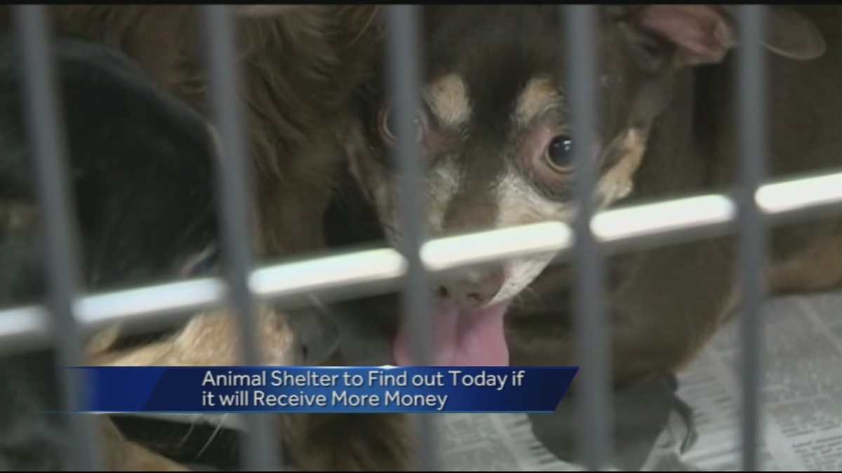 Washington County Animal Shelter needs more funds