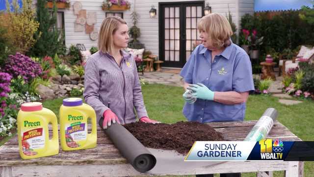 Helpful ways to prevent weeds from growing - Vimarsana News