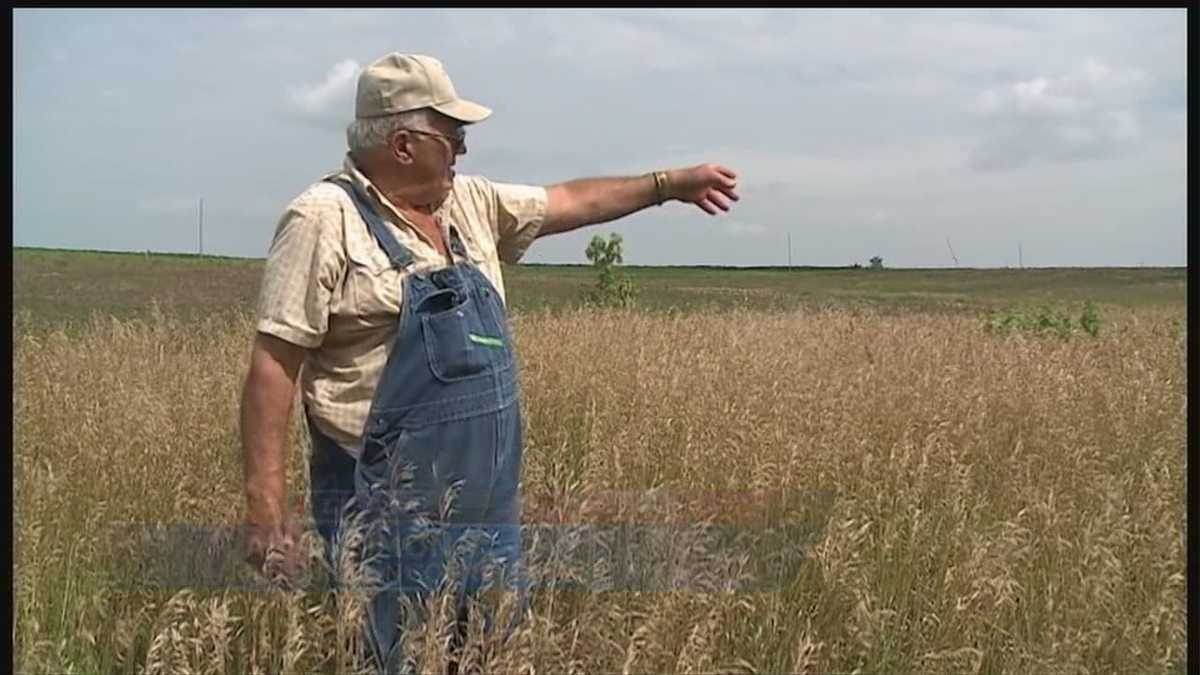 A curious crop Nebraska farmer says oil is filling his fields