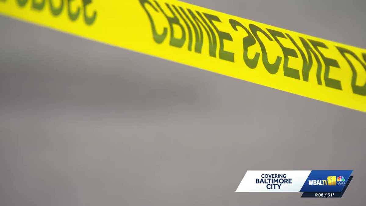 Baltimore City Council receives review of 2025 crime reduction efforts