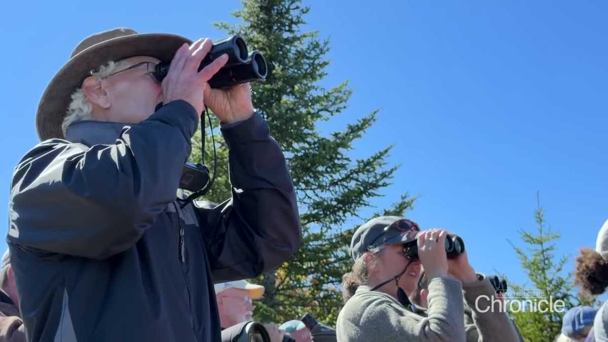 NH Chronicle: Witness raptor migration atop a NH mountain - WMUR