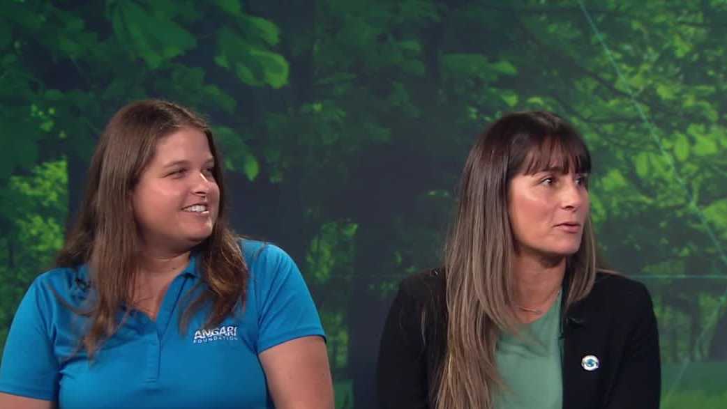 Florida Climate Week spotlights community collaboration - WPBF