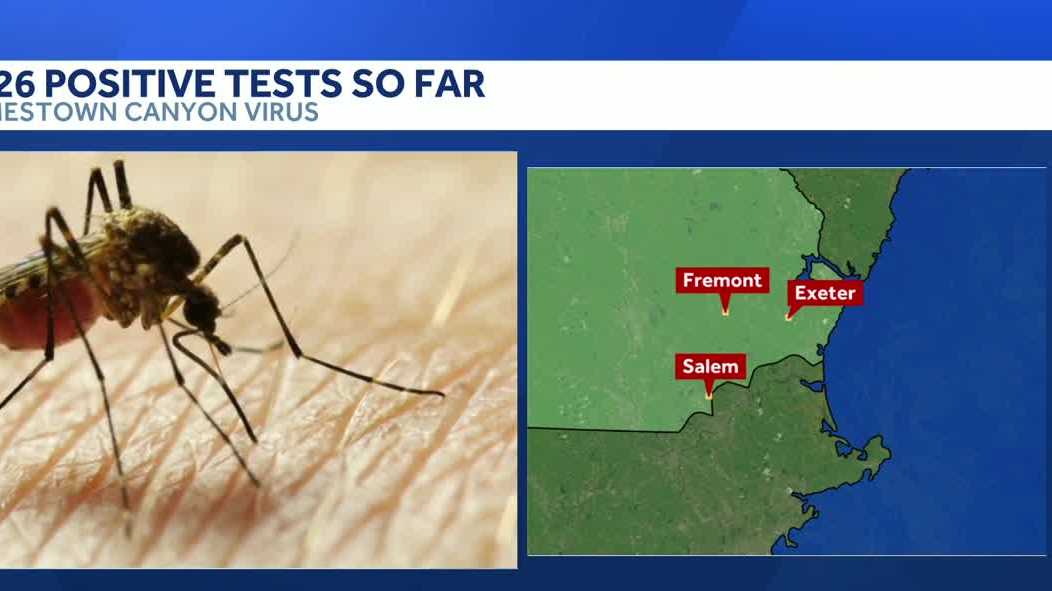 Jamestown Canyon virus found in mosquitoes in Salem, Fremont