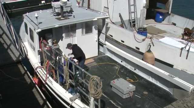 NH to receive $600K in funding for Atlantic herring fishery disaster - Vimarsana News