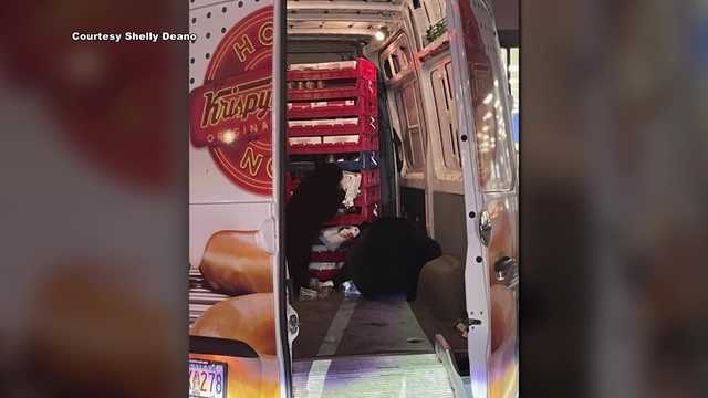 Two bears caught raiding Krispy Kreme van on a military base - Vimarsana News