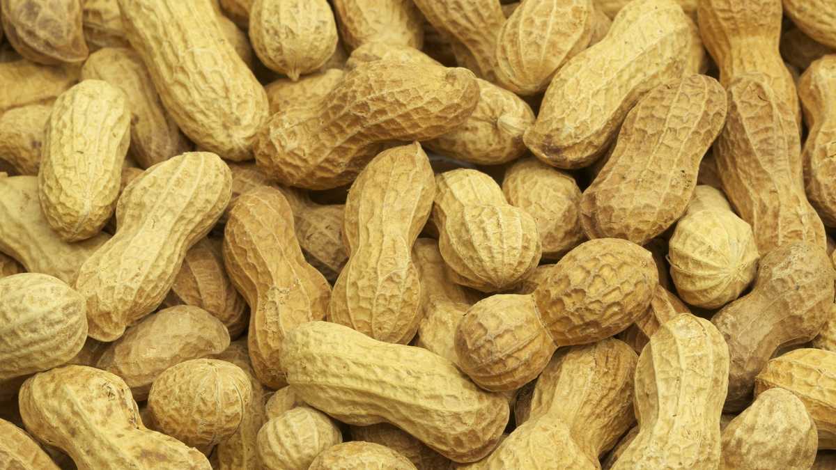 New Study Examines Peanut Allergies in Toddlers