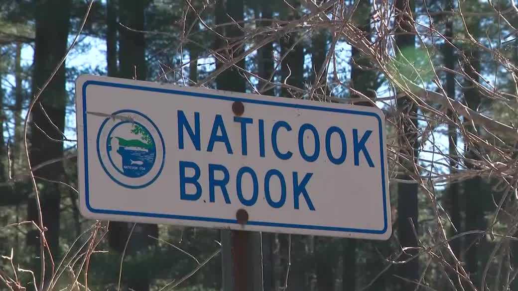 Merrimack asks DOT to reduce road salt after tests show high salt levels in water supply – WMUR