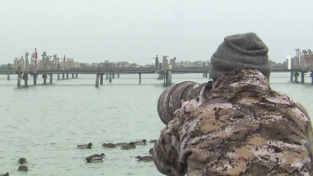 St. Francis police: Wildlife photographer robbed at gunpoint