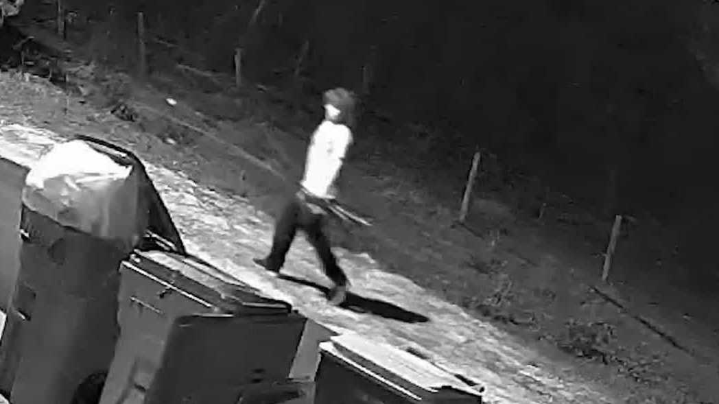 Man accused of having used the child to steal thousands of fishing stems in Florida