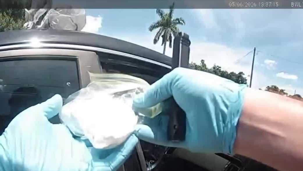 Cocaine, guns seized after Lee County deputies raid 2 homes in drug trafficking investigation
