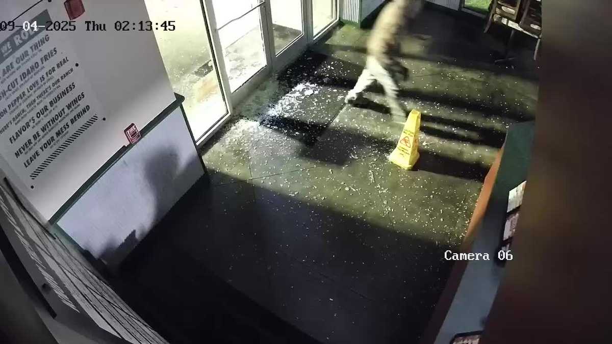 New Orleans Wing Stop axe burglary caught on video