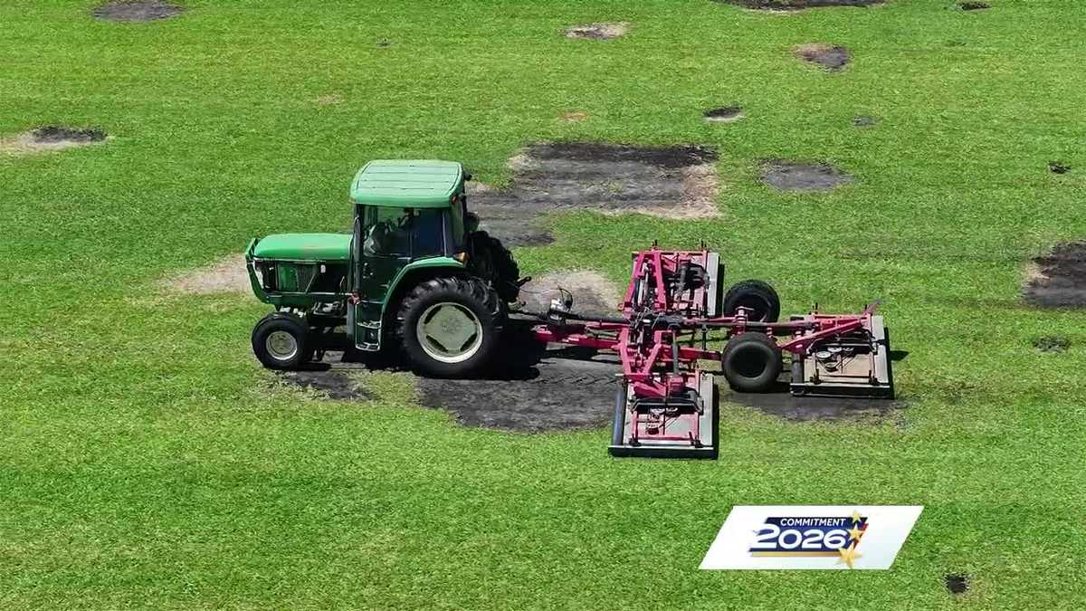 What is Florida's Amendment 2 on tangible personal property? - WESH