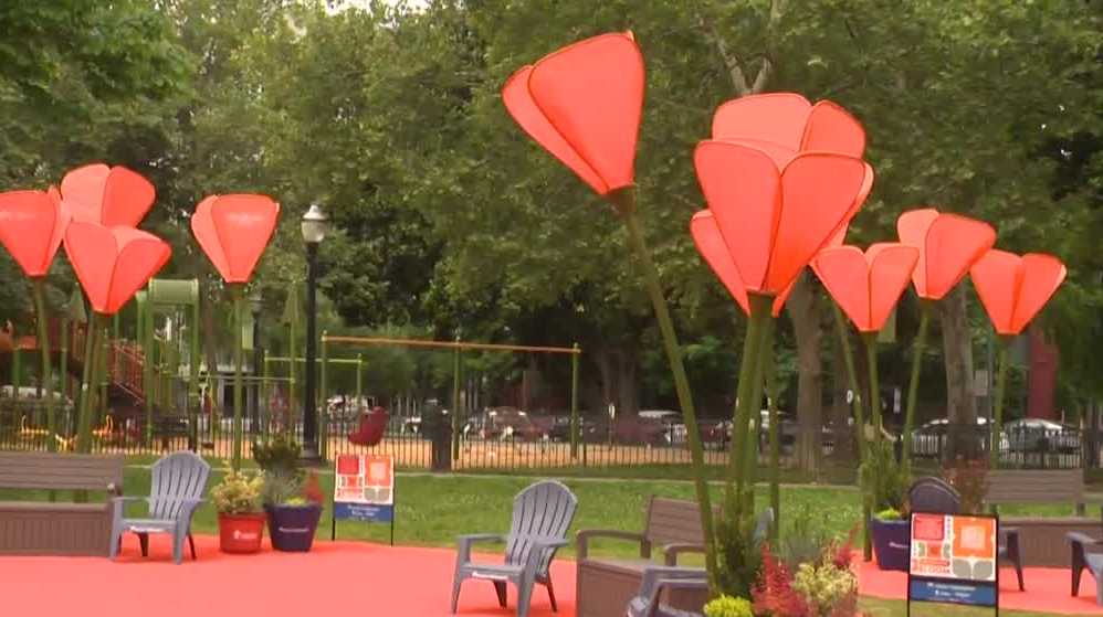 Eye-popping poppy-inspired art now on display in Sacramento park KCRA