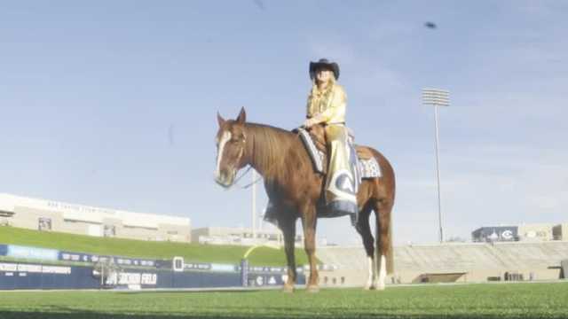 How 'Maggie the Aggie' helps to pump up the UC Davis team, crowd during home games - Vimarsana News