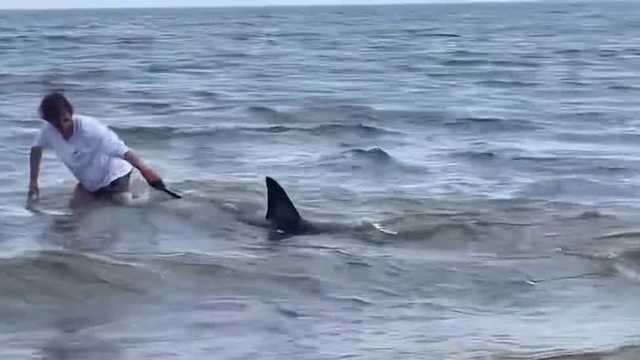 Wild video shows fisherman accidentally capture large shark - Vimarsana News