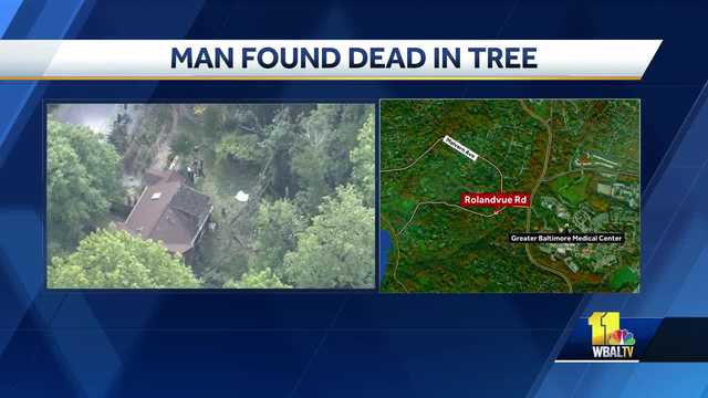 Man dies while cutting trees in Towson
